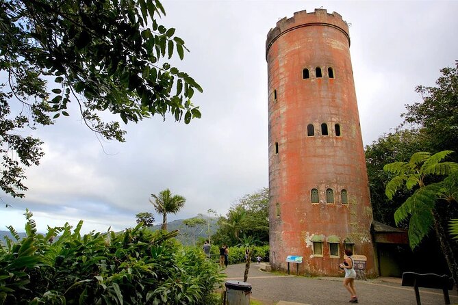 El Yunque Rainforest Guided Tour - Viator Help Center