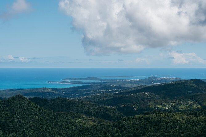El Yunque Rainforest Half-Day Trip From San Juan - The Sum Up