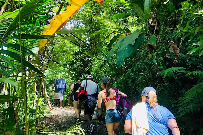 El Yunque Rainforest Tour With Water Slide, Waterfall, Shopping and Beach Time - Vincente and Damien: Highly Recommended Guides