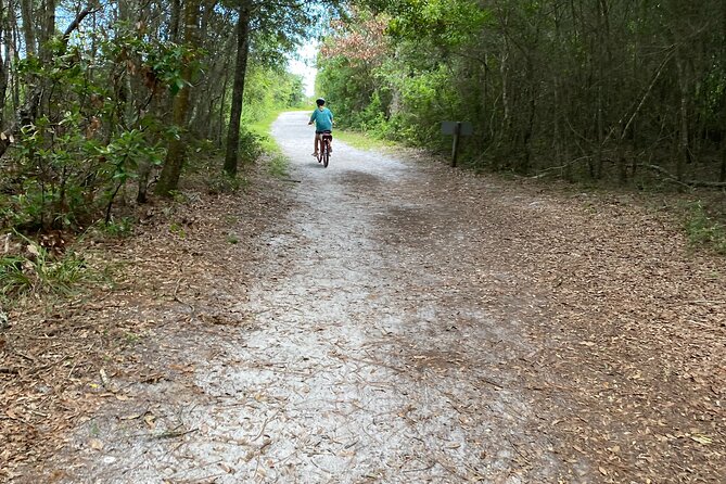 Electric Bike Tours in Amelia Island - Helmet Included for Safety