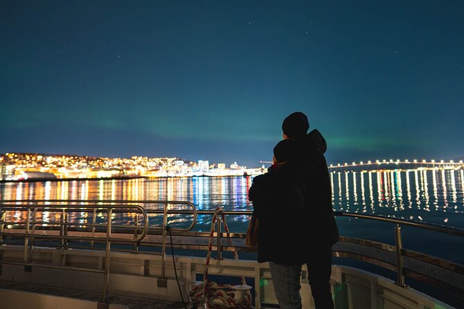 Electric Northern Lights Cruise - Accessibility Information