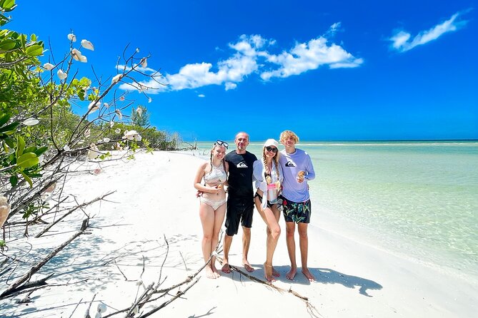 Electric Paddle Board Dolphin Watching Tour of Shell Key Preserve - Additional Information