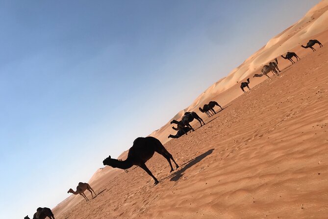 Empty Quarter Sunset Desert Safari - Unforgettable Cultural Encounters