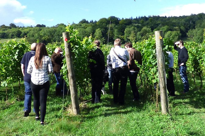 English Wine and Cheese Tour From London - Reviews