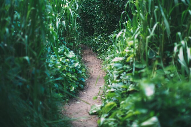 Epic Waterfall Adventure - Best of Maui - Tour Details and Additional Information