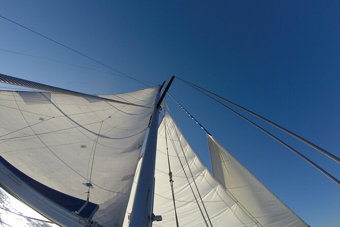 Escape at Sea, Private Experience for Your Tribe - Pricing and Booking