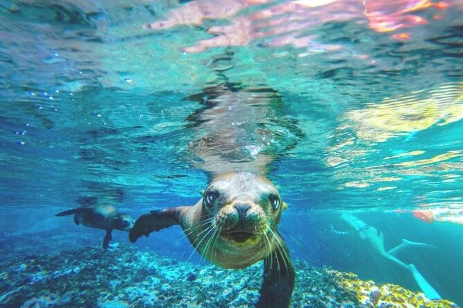 Espiritu Santo Island Day Tour - Positive Experiences and Tips