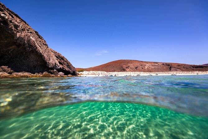 Espíritu Santo Island Snorkel and Sightseeing Tour on Small Group - Common Questions