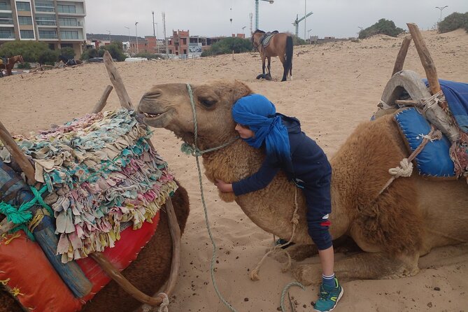 Essaouira: an Unforgettable 2 Hour Ride on a Camel - Reviews From Travelers