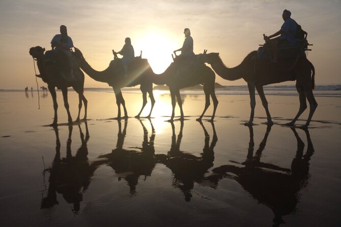 Essaouira Private Camel Ride (1 Hour). - Pickup Details and Cancellation Policy for the Private Camel Ride