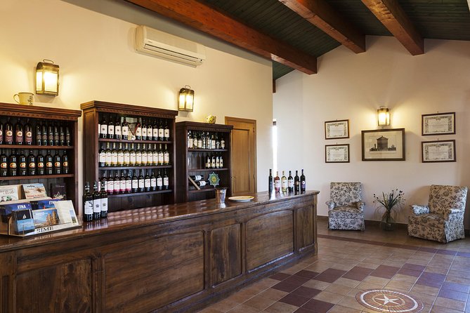 Etna DOC & Organic Wine Tasting and Tour of the 1815 Historic Winery - Whats Included in the Tour