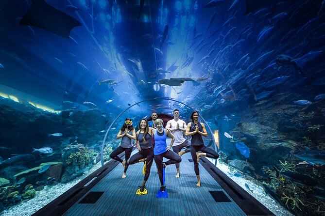 Evening Desert Safari With Buffet Dinner & Dubai Aquarium Tickets - Important Terms and Conditions