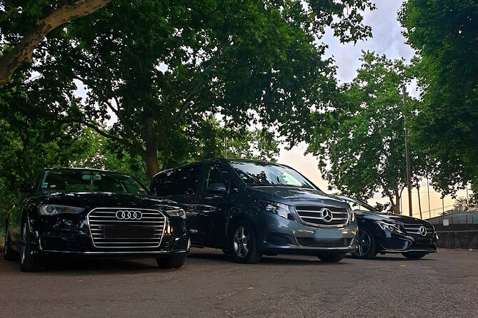 Excellecar - Private Driver - Sightseeing - Lyon and Its Region - Private Transportation