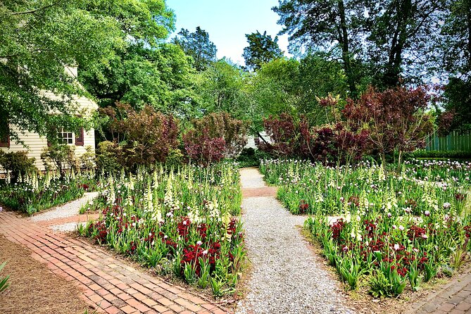 Exclusive Private Tour of Colonial Williamsburg and the College - Positive Reviews and Recommendations