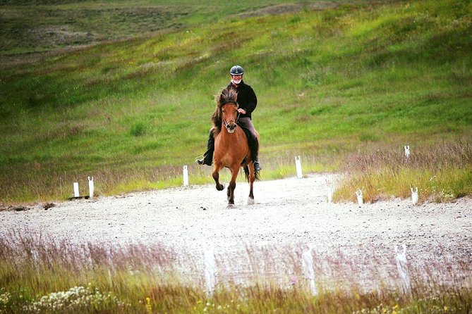 Exclusive Riding Program for Advanced Horse Riders - Give Me 5! - 2 to 3 Hours - Additional Information and Requirements