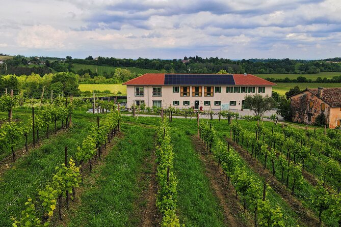 Exclusive Tour of the Vineyards With Visit to the Cellar! - Common Questions