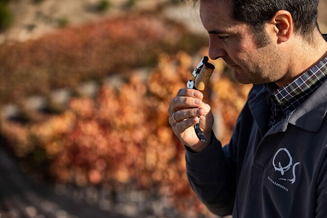 Exclusive Winery Tour and Tasting in the Golden Mile - Expert-led Wine Education