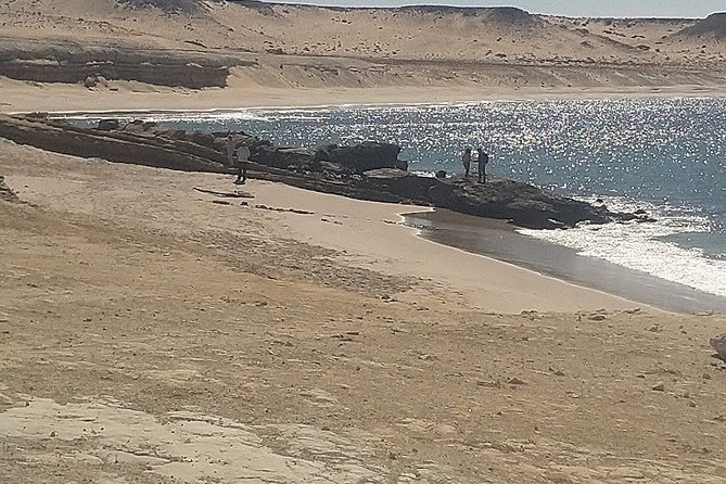 Excursions And Discovery - Positive Feedback and Recommendations