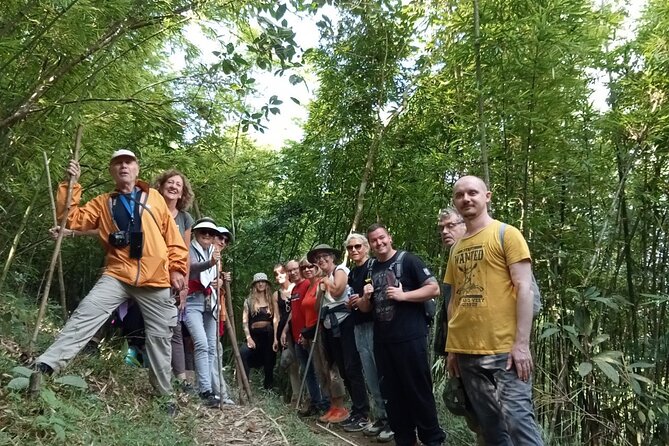 Experience Full Day Trekking Tour Visit Terraced and Villages - Terraced Landscapes