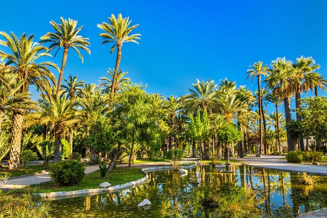 Experience the World Heritage City of Elche Private Tour - Indulge in Local Cuisine and Traditions