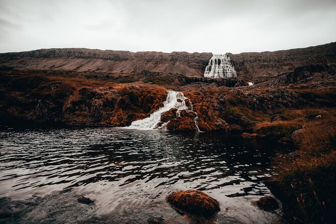 Experience Westfjords and Dynjandi Waterfall From Isafjordur Small Group Tour - Dynjandi Waterfall Experience