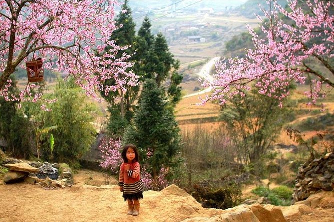 Explore Bac Ha Market for 3 Days and 2 Nights From Ha Noi. - Accommodation and Meals
