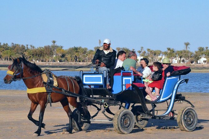Explore Djerba With Our Four-Legged Friends - Meeting and Pickup Information