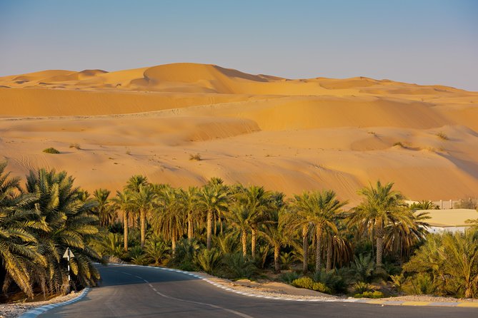 Explore Liwa Full Day Desert Safari - Thrilling Desert Safari Adventure