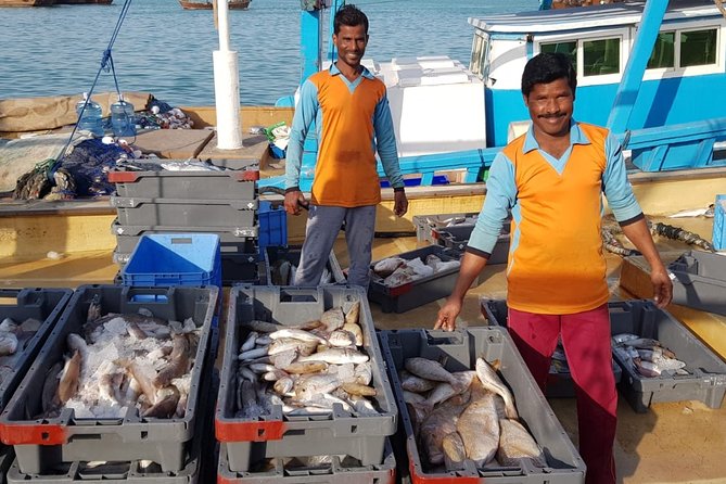 Explore North of Qatar: Visit Zubarah Fort and Fishing Town of Al Khor - How to Get to Zubarah Fort and Al Khor