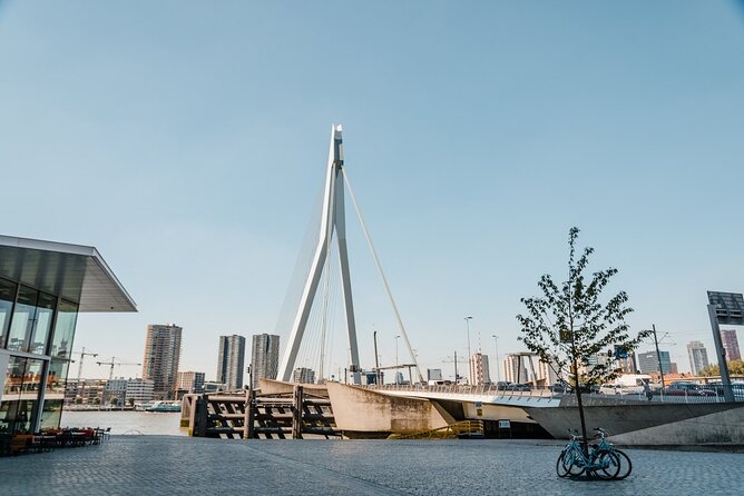 Explore Rotterdam'S History and Architecture on Private Walking Tour - Exploring Iconic Landmarks on Foot
