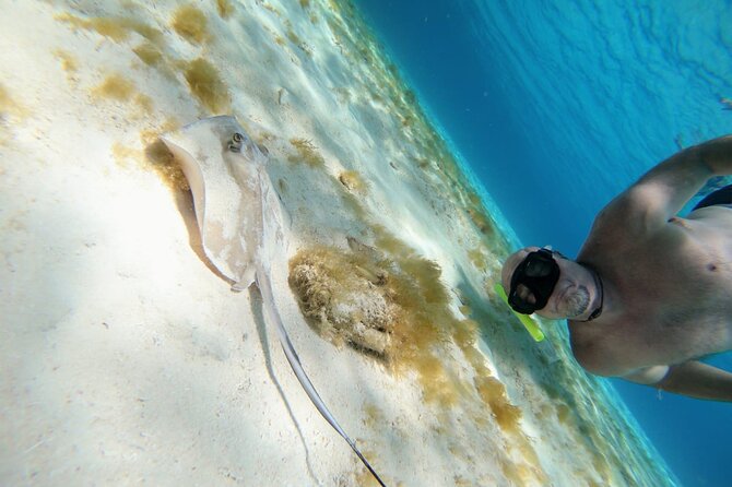 Explore the El Cielo Reef by Catamaran With Beach Break. - Snacks, Drinks, and Amenities Included