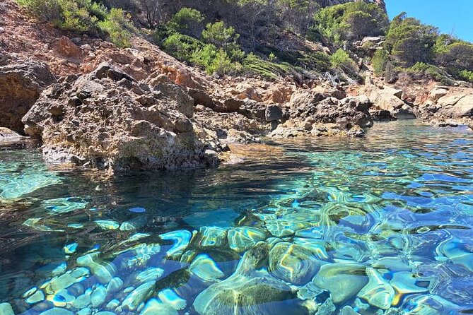 Explore the Island Dragonera With the Kayak - Wildlife Encounters on Dragonera Island