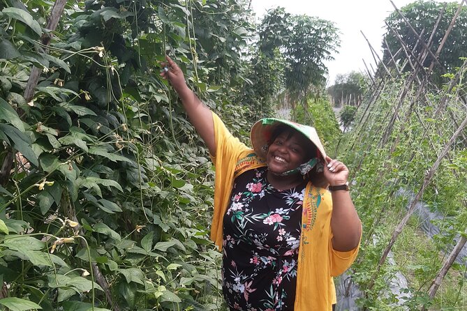 Exploring Organic Farm & Vietnamese Culinary With Master Chef - Master Chefs Expertise