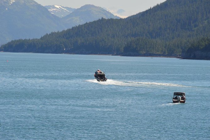 Exquisite Wildlife & Wilderness Photo Tour Anchorage -Whittier - Alaska Wildlife Conservation Center
