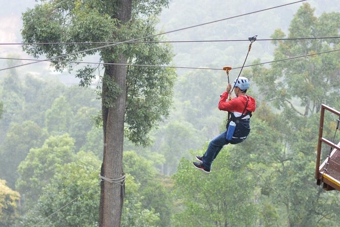 Extream Zipline @ Kingkong Smile and Dip in Hot Spring - Hot Spring Delights