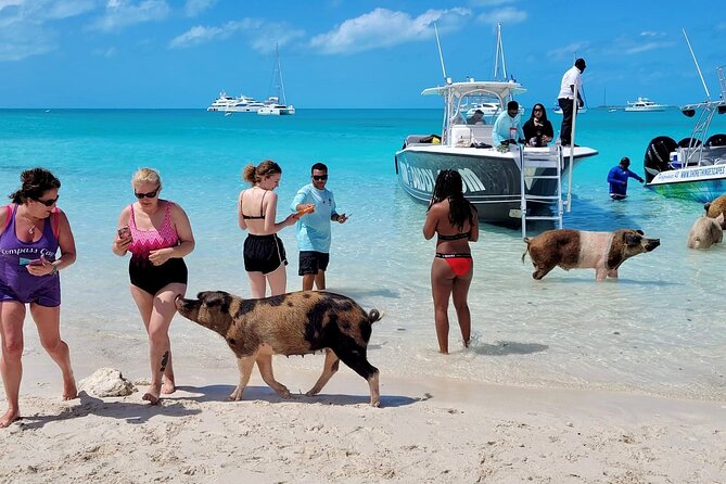Exuma Full Day 6 Stop Group Tour - Contact and Customer Support