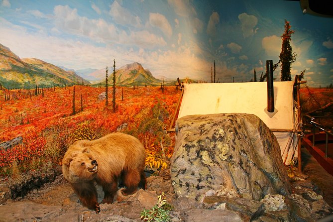 Fairbanks Autumn/Winter City Tour - Additional Information and Assistance