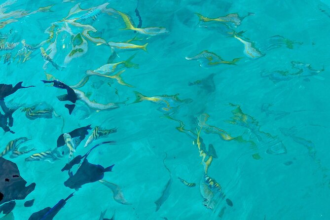 Fajardo Private Half-Day Charter  - Puerto Rico - The Sum Up