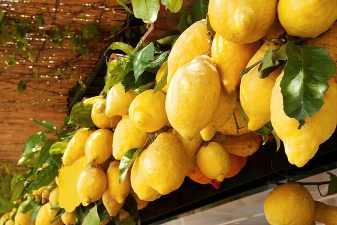 Family Farm Experience With Olive Oil Vegetables Limoncello and Grandmas Lunch - Grandmas Traditional Lunch