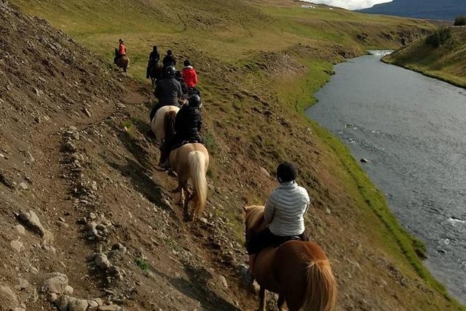 Family Friendly Horse Riding Tour in Skagafjörður - Tour Experience