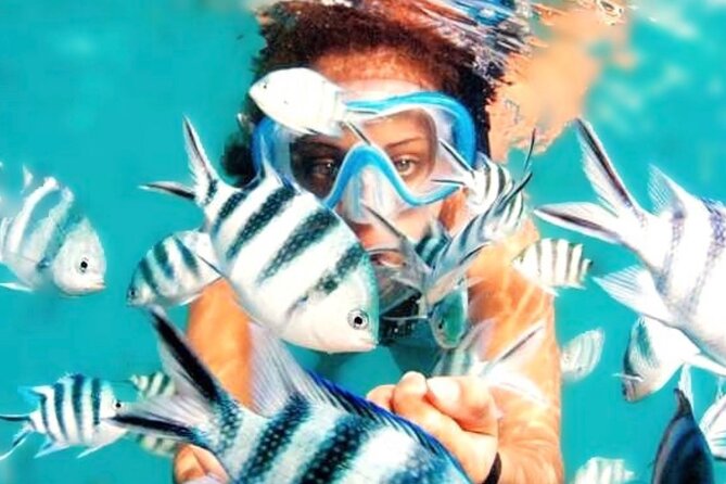 Family Fun-Snorkeling Activity in Montego Bay W/Lunch Stop - What to Expect