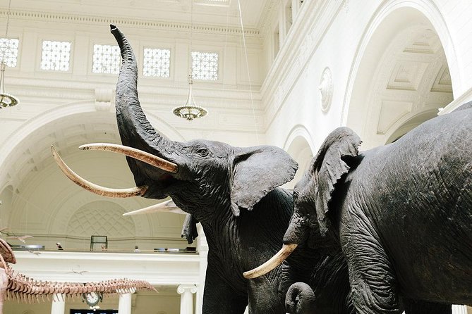 Field Museum of Natural History Discovery Pass - Traveler Photos of the Field Museum