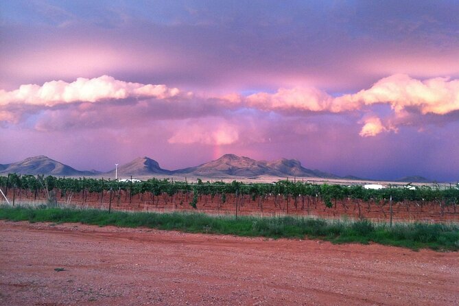Fine Wineing - a Wine Tasting Experience in the Vineyards of the Desert! - Overview and Experience Details