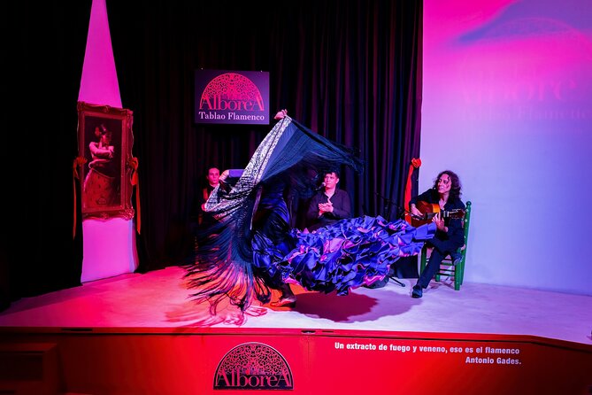 Flamenco Show in the Center of Granada - Private Transportation