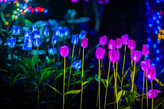 Flamingo Gardens Garden of Lights - Traveler Photos and Reviews