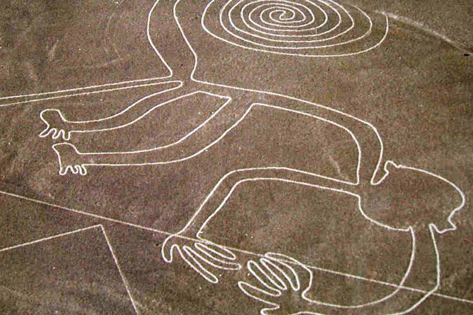Flight Over the Nazca Lines From Ica With Oasis, Lunch and Wine  - Lima - Oasis of Huacachina Activities