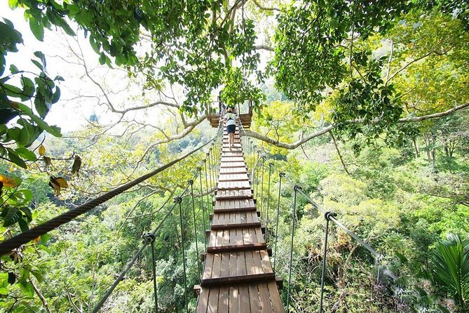 Flying Hanuman Ziplines 42 Platforms With Meal & Transfer Roundtrips - Enjoy a Delicious Meal
