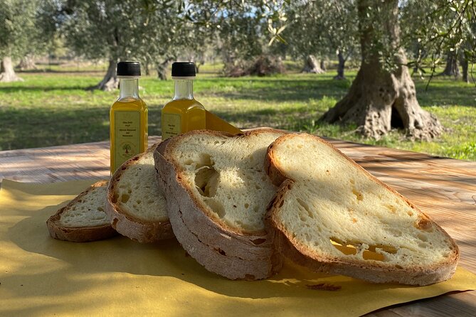 Food and Wine Tour Between the Patriarchs Olives and the Oil Temples - Meeting and Pickup Details