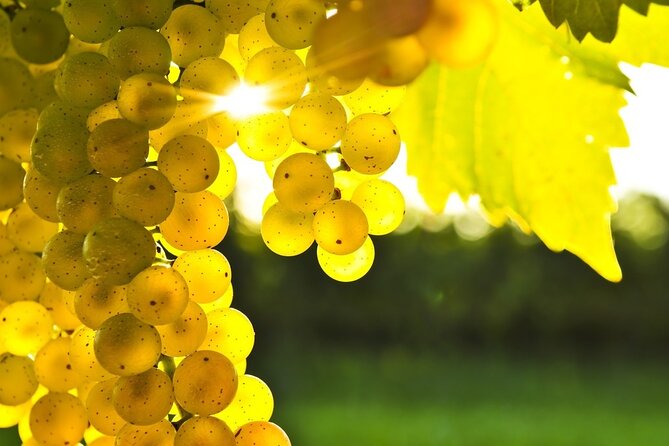 Food & Wine Tour: 11-Course Lunch, Wine Tasting & Cooking Class - Cooking Class Details