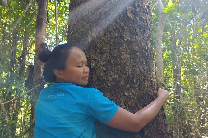 Forest Bathing & Nature Retreat Include Aroma Blending Workshop - Incorporating Aroma Blending Into Forest Bathing Sessions